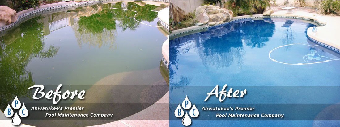 About page · Miami's Best Pool Service Company