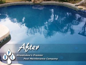 after green pool cleaning image ahwatukee az
