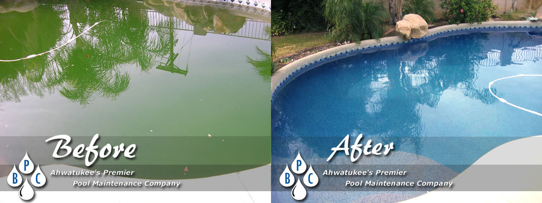 Ahwatukee Green Pool Cleaning Before And After Photo