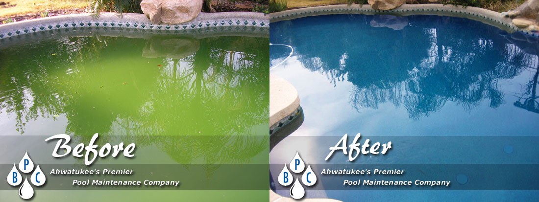 Green Pool Cleaning Ahwatukee AZ