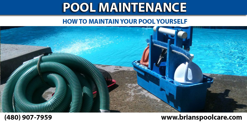 Pool Maintenance For Dummies - 101 - Guide - DIY
