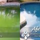 green-pool-cleaning-ahwatukee-az