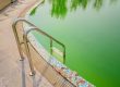 How To Shock A Pool That's Green