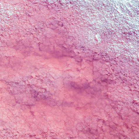 pink-algae-removal-in-ahwatukee-az